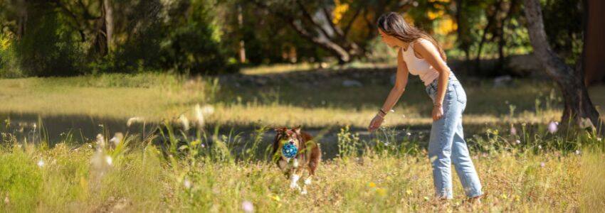 Voyager avec son chien en camping