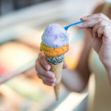 Glacier au Camping La Marine Ă Grau du Roi Homair