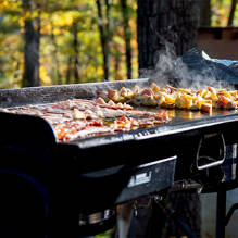 Plancha gaz autorisée au Camping Les grottes de Roffy à Sainte-Nathalène Homair