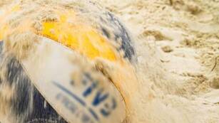 Beachvolleyball Campingplatz La Marina de Canet Canet-en-Roussillon Homair