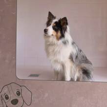 Douche pour chiens au Camping Les Couleurs de la Coubre à Les Mathes Homair