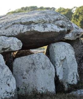 Sich auf die Entdeckung einer jahrtausendealten Geschichte begeben Homair