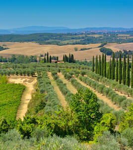 Lindau, Insel- und Gartenstadt Homair