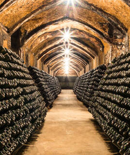 Camping Champagne Ardenne Cave a Champagne