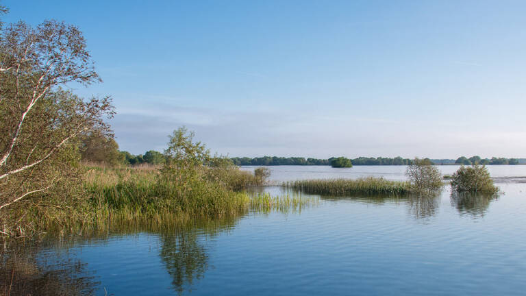 Camping Champagne Ardenne Lac du Der