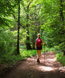 Camping Champagne Ardenne Randonnee Foret