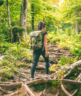 Camping Gerardmer Randonnee Foret