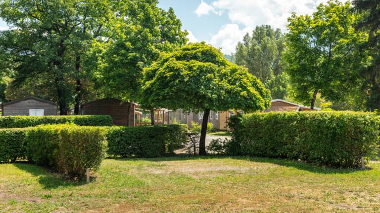 Campsite Our Nature pitches