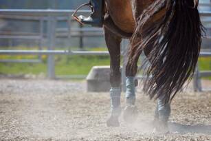 Reiten Campingplatz Domaine d'Anghione Castellare-di-Casinca Homair