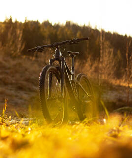 Noleggio biciclette Homair