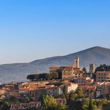 Camping Montescudaio