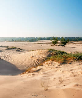 Parc naturel de Loonse en Drunense Duiren