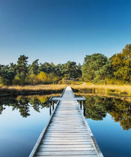 les lacs de Maasplassen