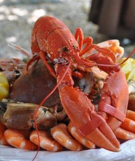 Descubrir la gastronomía local Homair