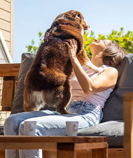 Follow the rules for everyone's comfort Homair