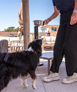 Enjoy exclusive services Homair