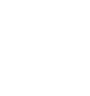 bloc-nl-flash
