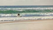 Surf dans les Landes