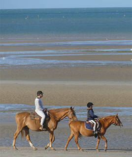 Balade à cheval sur la plage dans le Calvados