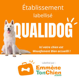 Top Dog-Friendly Destinations Homair