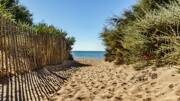 plage de sable fin avec des arbres sur le côté et la mer en fond sous un ciel bleu