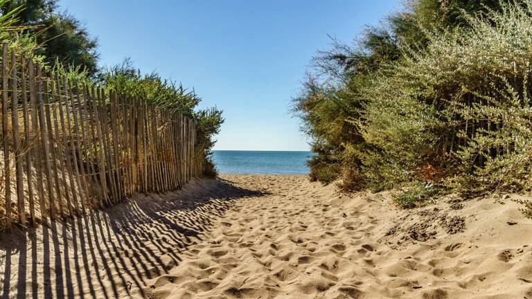 plage de sable fin avec des arbres sur le côté et la mer en fond sous un ciel bleu