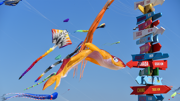 Camping Berck-sur-Mer
