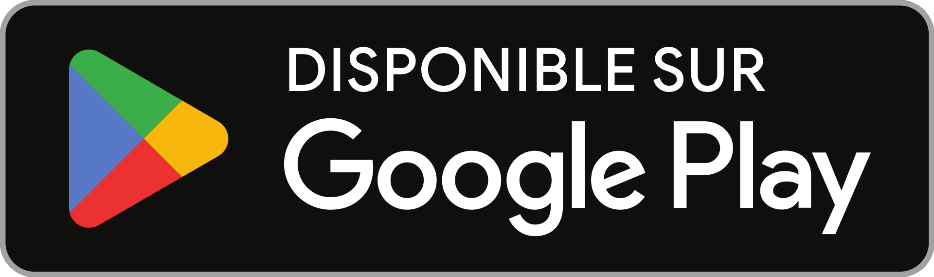 logo play store