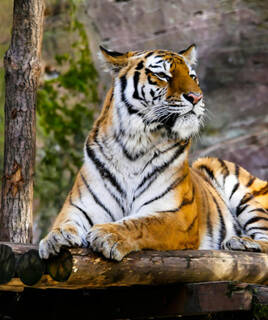 Explorar la biodiversidad de Languedoc-Rosellón Homair