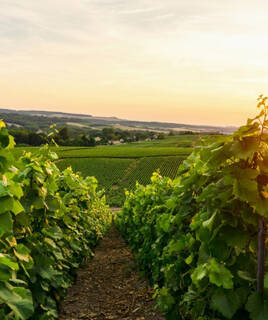 Genießen Sie einen Kaffee auf dem Place de l'Ormeau Homair