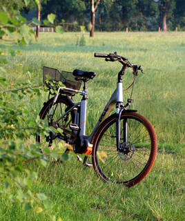 Fietsen en wandelen in Nationaal Park De Hoge Veluwe Homair