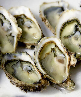 camping-poitou-charente-gastronomie-inspi-th