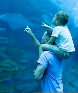 Livorno mit der Familie Homair