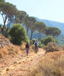 Verken de stad en haar wijken Homair