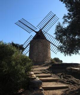 Ontdekken van de natuur in Lauwersmeer en Schiermonnikoog Homair