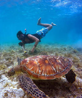 Sport acquatici sulla costa corsa Homair