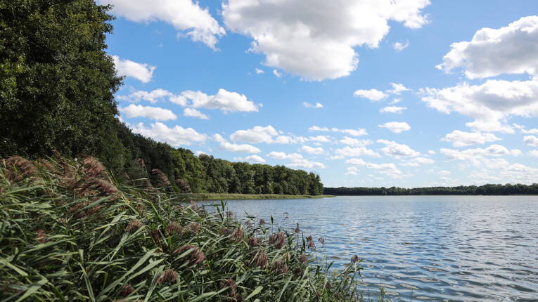 Camping Spreewaldtor **** photo 6 Brandebourg Homair