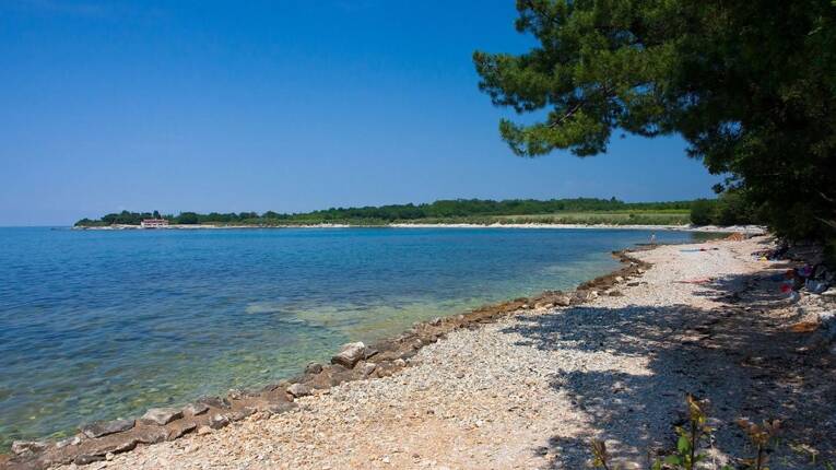 Camping Camp Kastanija *** photo 7 Istrie Homair