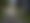 Camping Brioni Sunny Camping  Photo 2 Istrie Homair