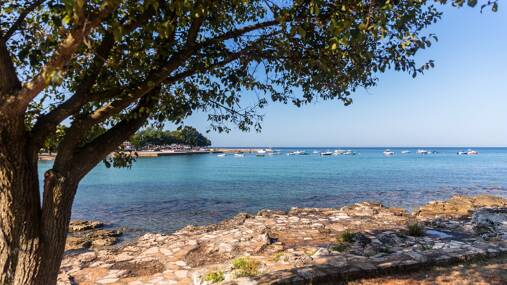Campeggio Park Umag **** foto 7 Istria Homair