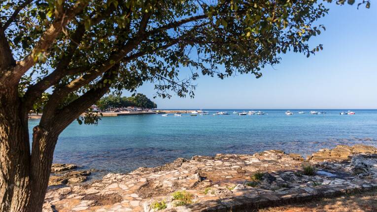 Campeggio Park Umag **** foto 7 Istria Homair