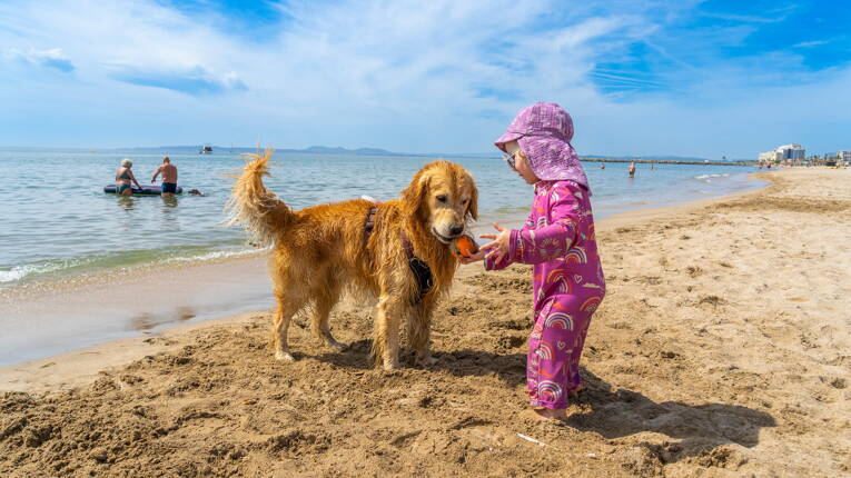 Campeggio Castell Mar **** foto 6 Costa Brava Homair