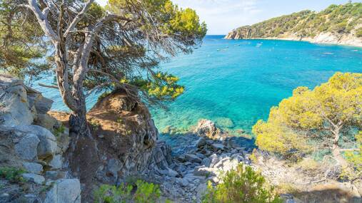 Campsite Cala LLevado **** photo 6 Costa Brava Homair