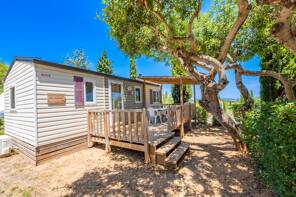 Camping Orangeraie *** Costa de Azahar foto 2 Homair