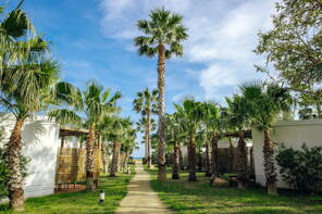 Camping Alannia Els Prats **** Costa Dorada photo 2 Homair