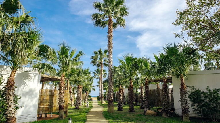 Camping Alannia Els Prats **** photo 2 Costa Dorada Homair