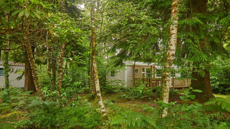 Camping Le Bois de Pleuven **** photo 2 Bretagne Homair