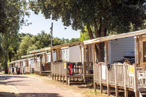Camping Signol ***** Charente Maritime foto 2 Homair