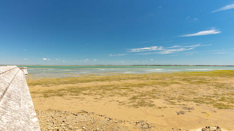 Camping Embruns d'Oléron **** photo 6 Charente Maritime Homair