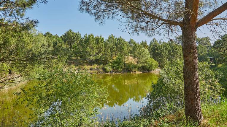 Camping La Pinède ***** photo 6 Charente Maritime Homair